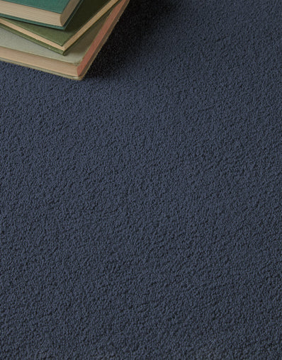 Langdale Felt Backing 14mm Twist Pile Carpet