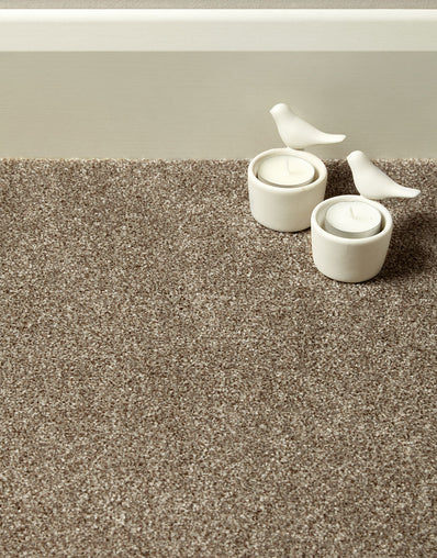 Langdale Felt Backing 14mm Twist Pile Carpet