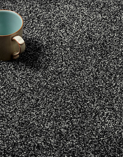 Langdale Felt Backing 14mm Twist Pile Carpet