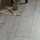 Buttermere 8mm Laminate Flooring - Elegant Grey-SAMPLE