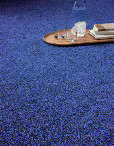 Venice Hessian Backed 6mm Twist Pile Carpet