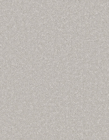Amalfi 9mm Hessian Backed Twist Pile Carpet - Mushroom / 4m