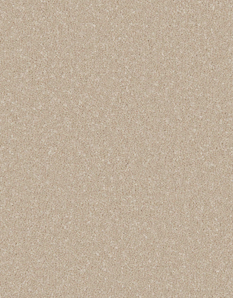 Amalfi 9mm Hessian Backed Twist Pile Carpet - Sea Shell / 4m
