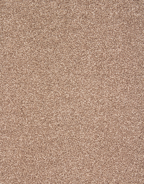 Amalfi 9mm Hessian Backed Twist Pile Carpet - Stepping Stone / 4m