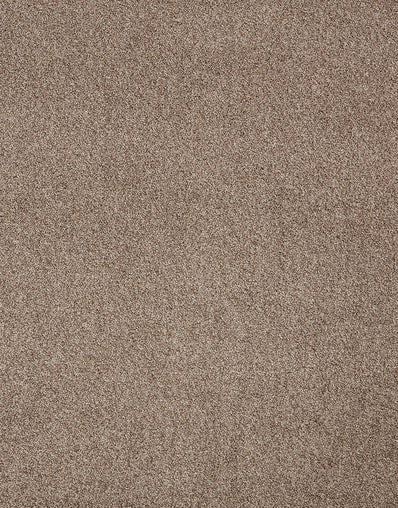 Florence 11mm Hessian Backed Twist Pile Carpet