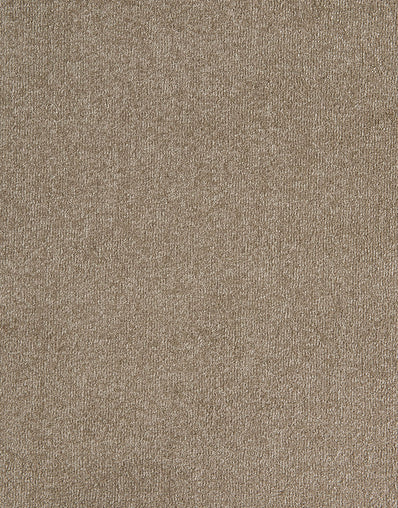 Florence 11mm Hessian Backed Twist Pile Carpet