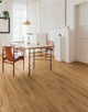 Black Friday Derwent 8mm Laminate Flooring - Golden Oak
