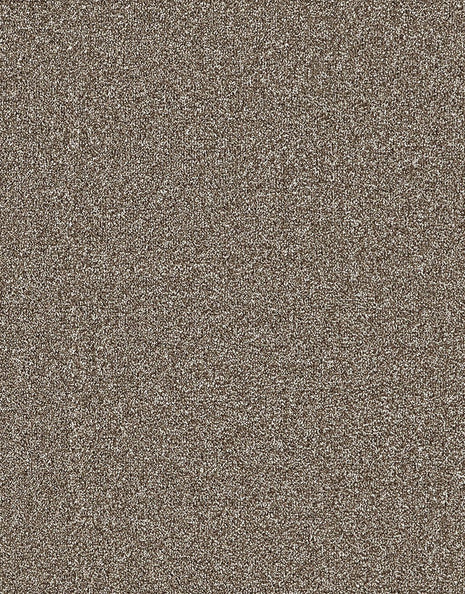 Mardale Dual Backing 8mm Pile Carpet - Taupe / 4m