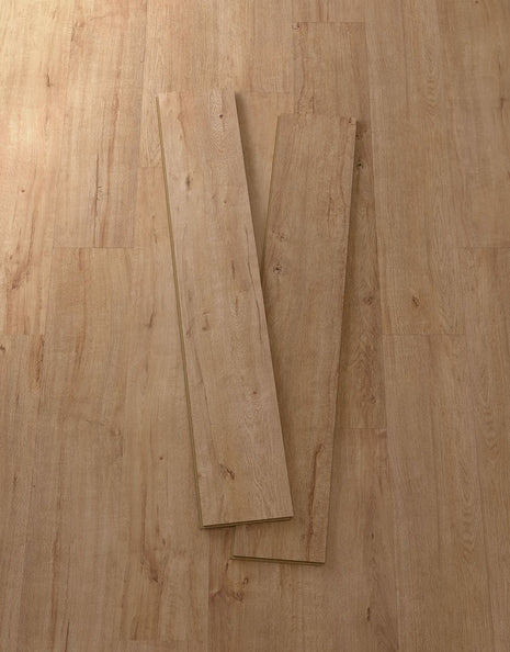 Duke 8mm Laminate Flooring - Golden Oak