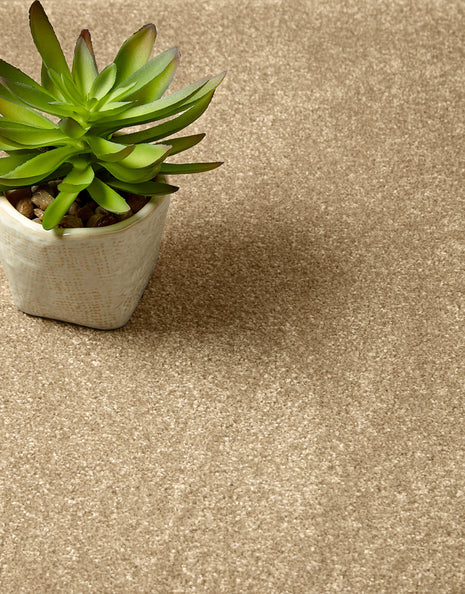 Mardale Dual Backing 8mm Pile Carpet - Biscuit / 4m
