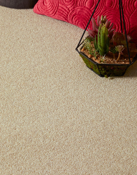 Rydal Felt Backing 9mm Twist Pile Carpet - Stone / 4m
