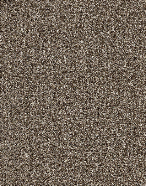 Langdale Felt Backing 14mm Twist Pile Carpet