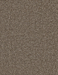 Langdale Felt Backing 14mm Twist Pile Carpet