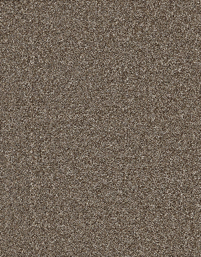 Langdale Felt Backing 14mm Twist Pile Carpet
