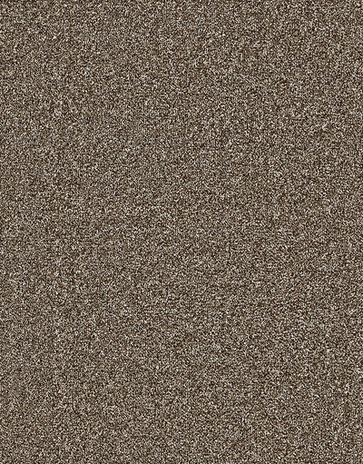 Langdale Felt Backing 14mm Twist Pile Carpet