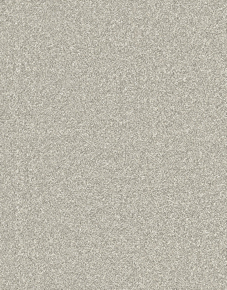 Langdale Felt Backing 14mm Twist Pile Carpet