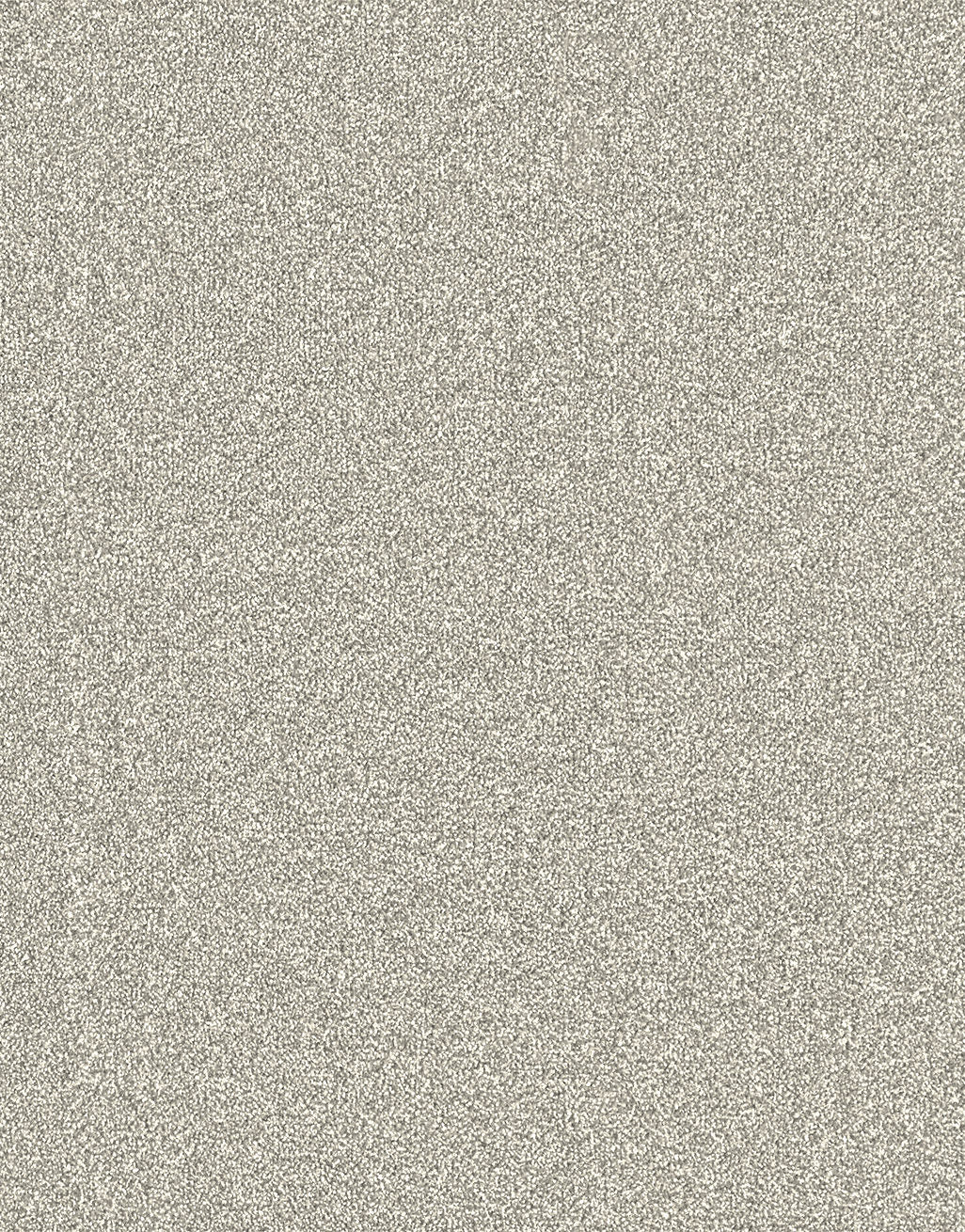 Langdale Felt Backing 14mm Twist Pile Carpet