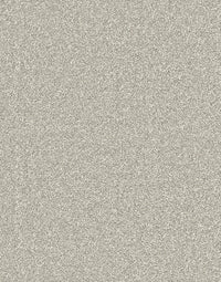 Langdale Felt Backing 14mm Twist Pile Carpet