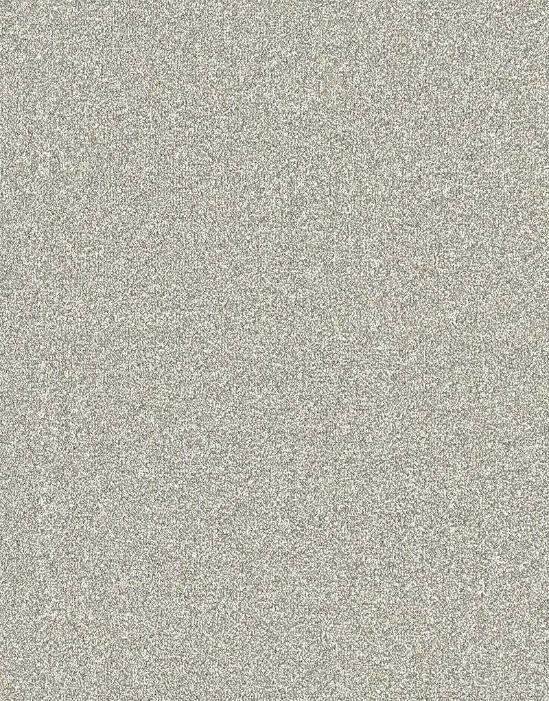 Langdale Felt Backing 14mm Twist Pile Carpet