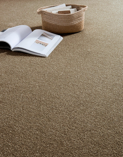 Venice Hessian Backed 6mm Twist Pile Carpet