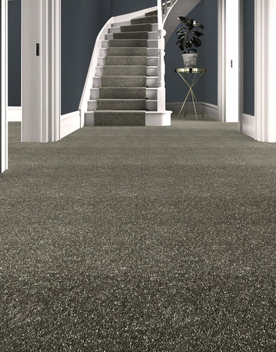 Venice Hessian Backed 6mm Twist Pile Carpet