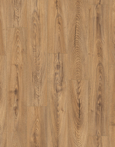 Black Friday Derwent 8mm Laminate Flooring - Golden Oak