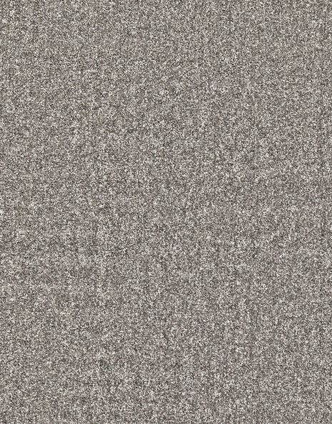 Mardale Dual Backing 8mm Pile Carpet - Steel / 4m