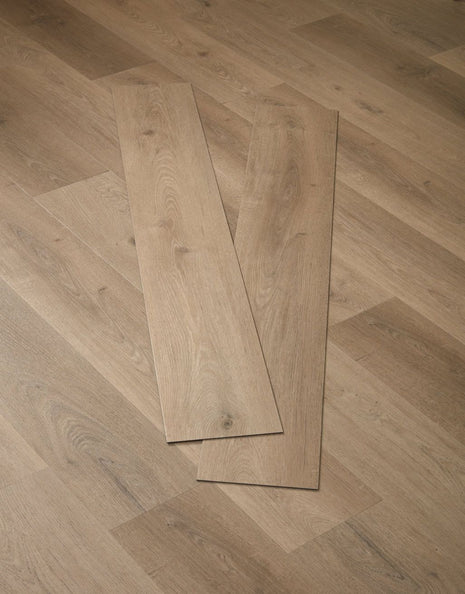 Asenso Signature Plank - Oyster Oak-SAMPLE