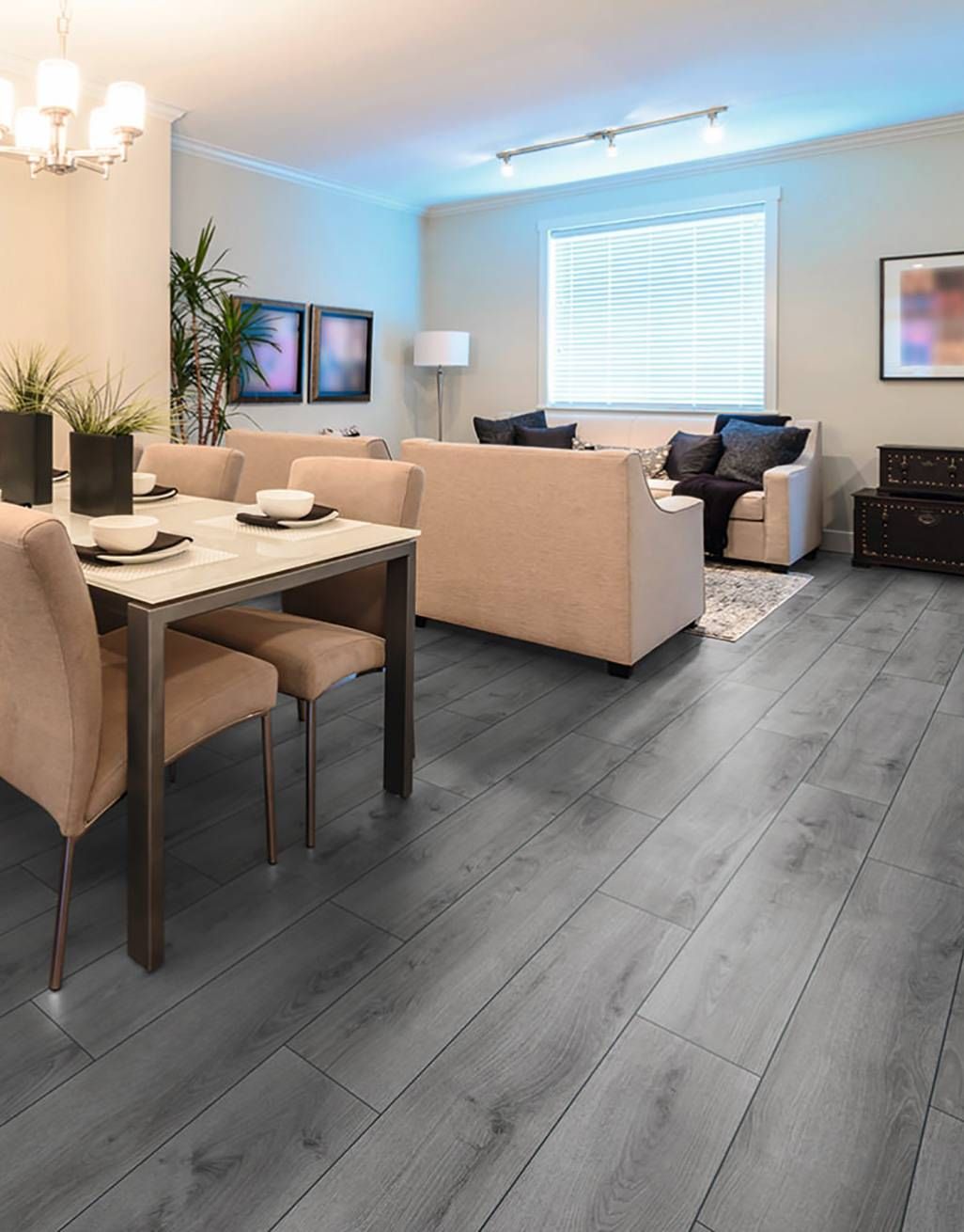 Kronotex Evolution 12mm - Summer Oak Grey Laminate Flooring 5